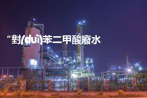 “對(duì)苯二甲酸廢水處理，綠色創(chuàng)新引領(lǐng)環(huán)保新篇章”